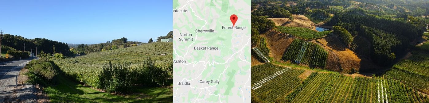 Computer Repairs Forest Range Computer Repairs Forest Range