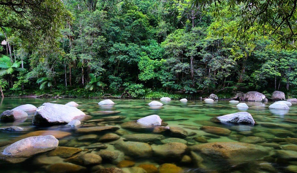 Daintree Forest and National Park
